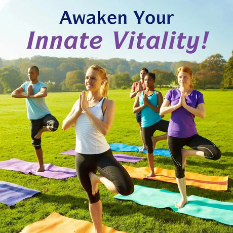 INNATE VITALITY - Innate Vitality Magnesium Glycinate Chelated for Maximum Absorption 500Mg. 120 Capsulas - The Red Vitamin MX - Suplementos Alimenticios - {{ shop.shopifyCountryName }}