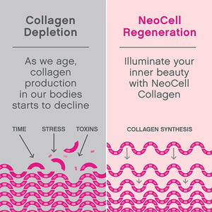 NEOCELL - NeoCell Super Collagen PLUS Powder 1.3Lbs. - The Red Vitamin MX - Suplementos Alimenticios - {{ shop.shopifyCountryName }}