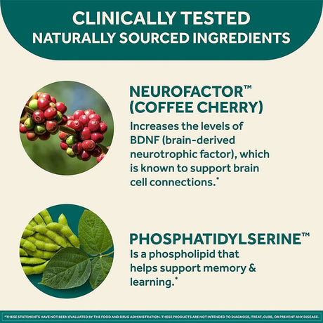 NEURIVA - Neuriva Brain Health Original Brain Supplement For Memory 30 Capsulas - The Red Vitamin MX - Suplementos Alimenticios - {{ shop.shopifyCountryName }}