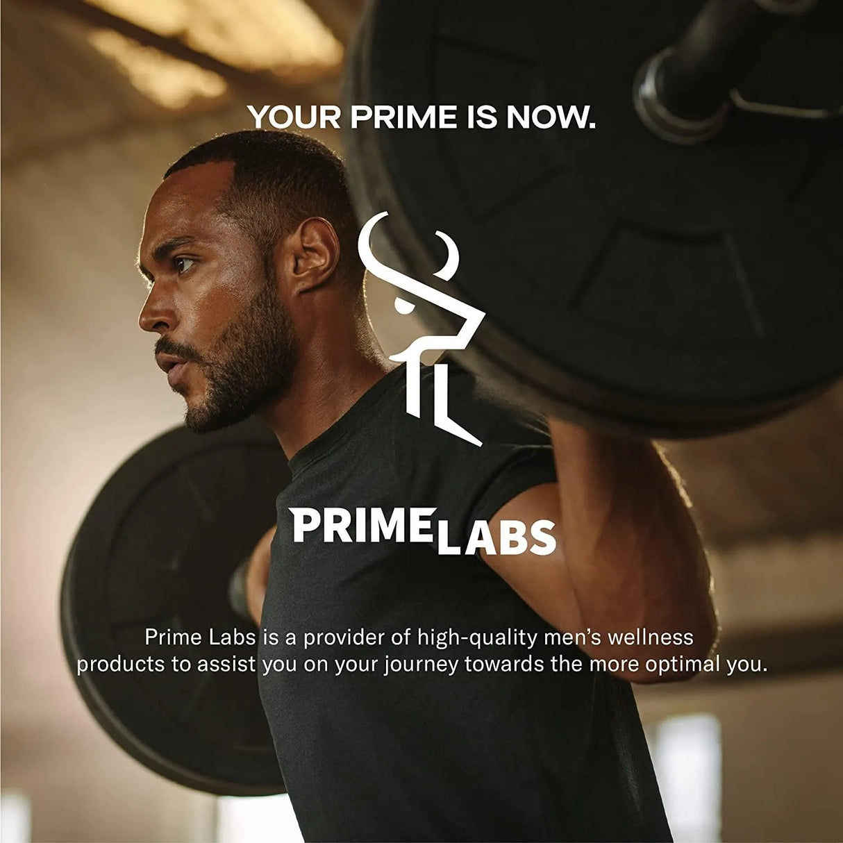 PRIME LABS - Prime Labs Prime Test Testosterone Booster 60 Tabletas - The Red Vitamin MX - Suplementos Alimenticios - {{ shop.shopifyCountryName }}