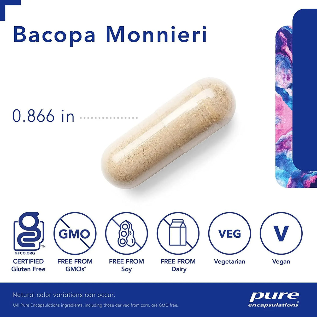 PURE ENCAPSULATIONS - Pure Encapsulations Bacopa Monnieri 180 Capsulas - The Red Vitamin MX - Suplementos Alimenticios - {{ shop.shopifyCountryName }}