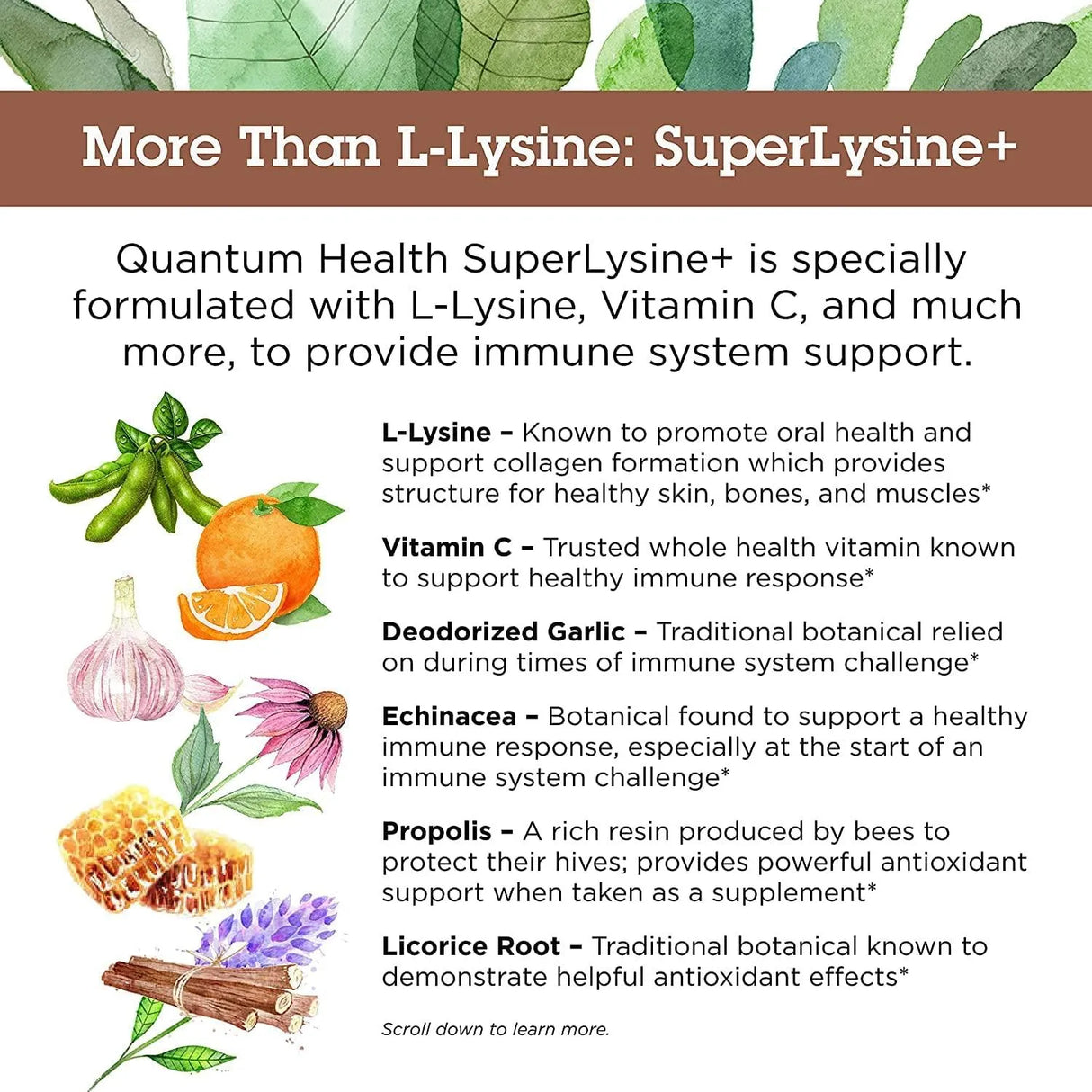 QUANTUM HEALTH - Quantum Health SuperLysine+ Advanced Formula Immune Support 180 Tabletas - The Red Vitamin MX - Suplementos Alimenticios - {{ shop.shopifyCountryName }}