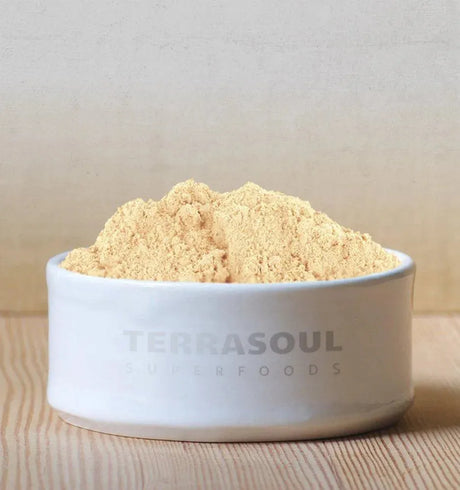 TERRASOUL SUPERFOODS - Terrasoul Superfoods Organic Gelatinized Maca Powder 16Oz. - The Red Vitamin MX - Suplementos Alimenticios - {{ shop.shopifyCountryName }}