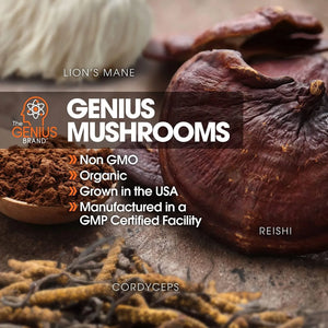 THE GENIUS BRAND - The Genius Brand Genius Mushrooms 90 Capsulas - The Red Vitamin MX - Suplementos Alimenticios - {{ shop.shopifyCountryName }}