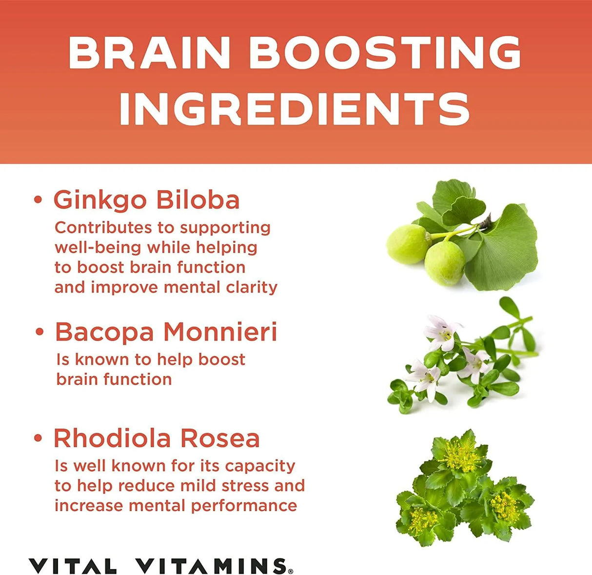 VITAL VITAMINS - Vital Vitamins Brain Booster 30 Capsulas - The Red Vitamin MX - Suplementos Alimenticios - {{ shop.shopifyCountryName }}